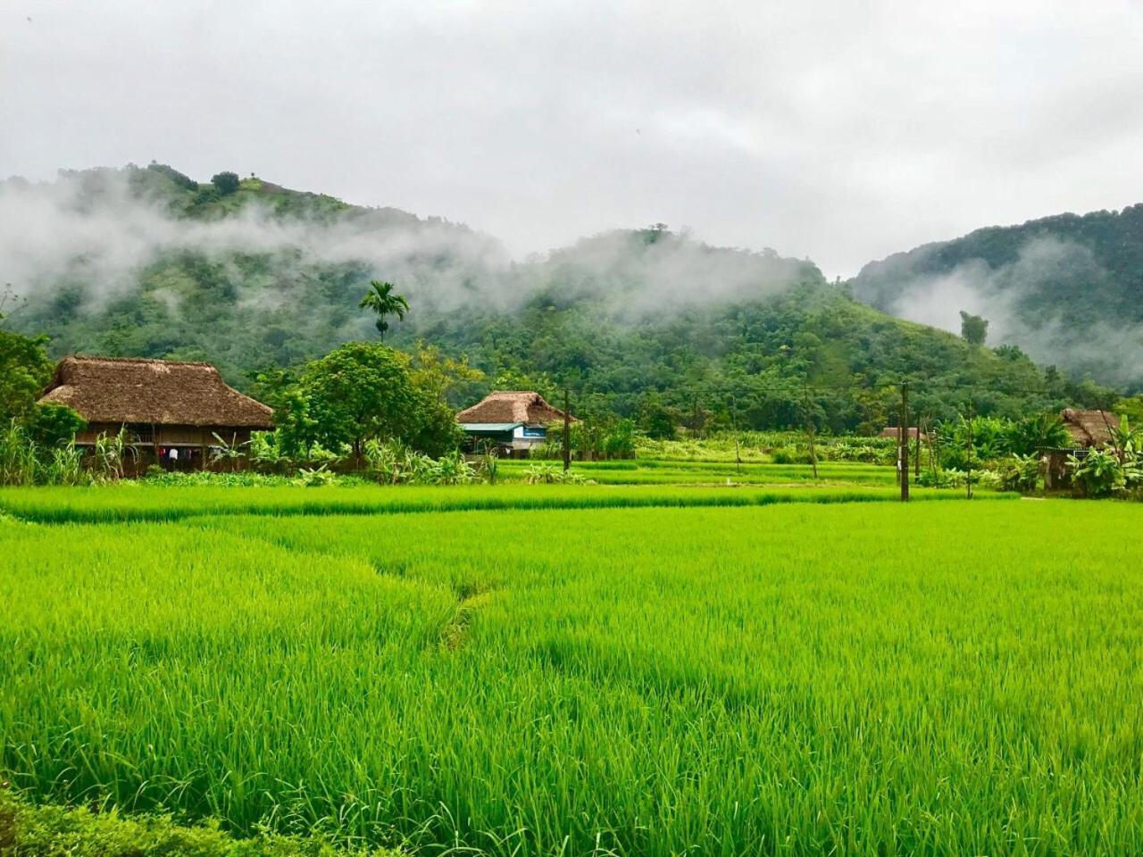 Xoi Farmstay - Eco Homestay Luc Yen Yen Bai Kültér fotó