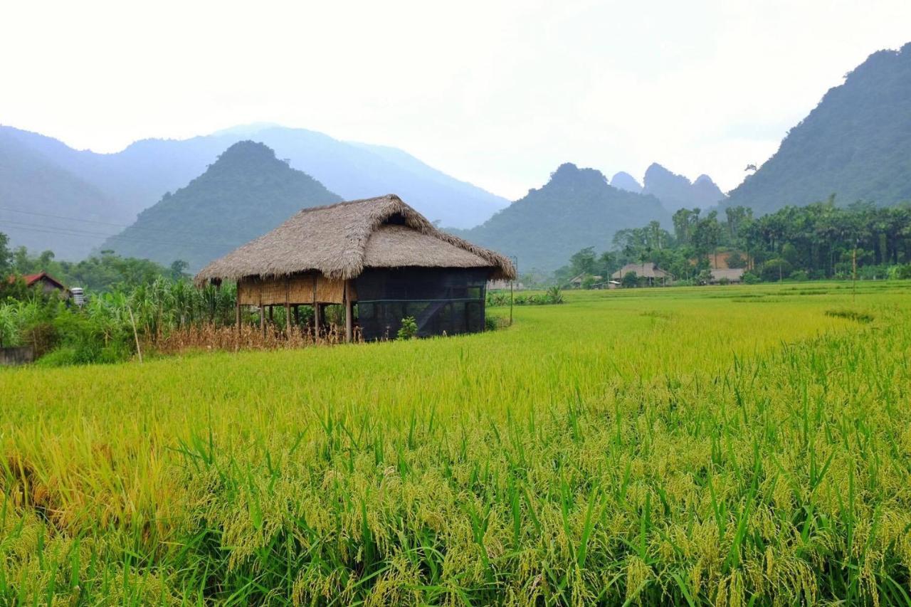 Xoi Farmstay - Eco Homestay Luc Yen Yen Bai Kültér fotó