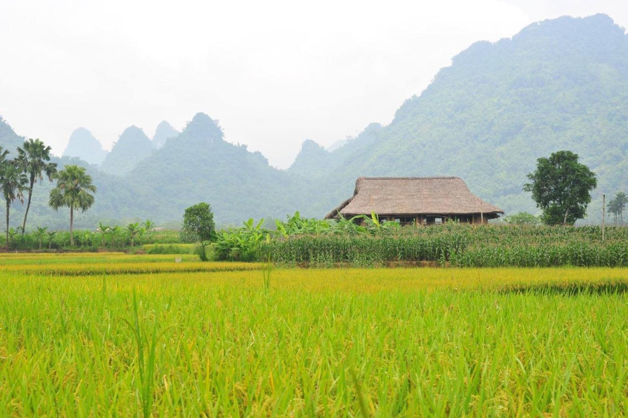 Xoi Farmstay - Eco Homestay Luc Yen Yen Bai Kültér fotó