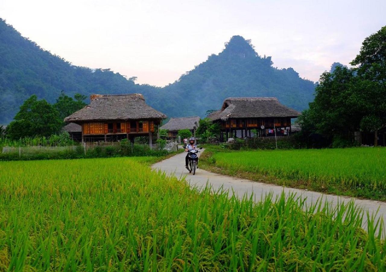 Xoi Farmstay - Eco Homestay Luc Yen Yen Bai Kültér fotó