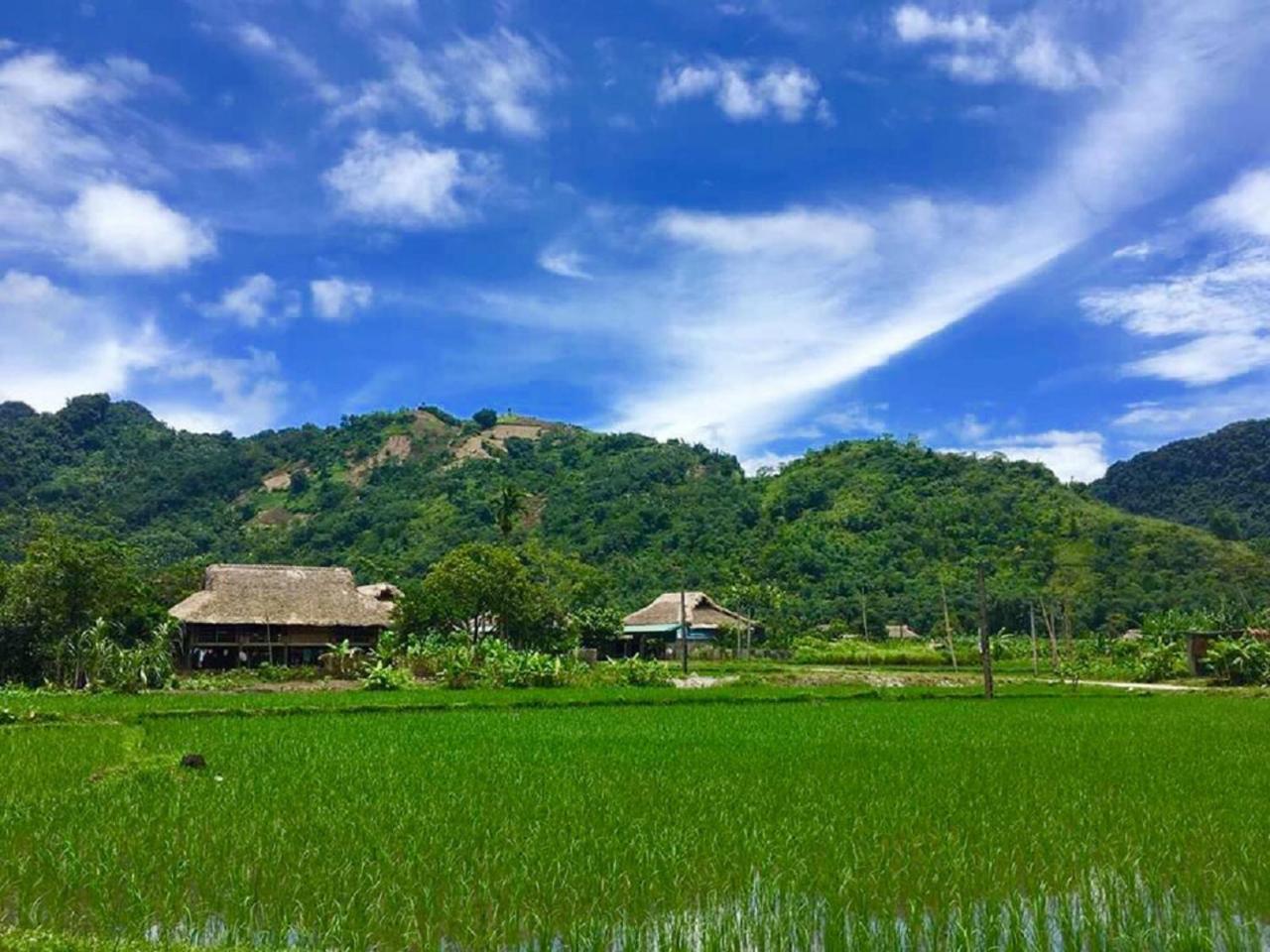 Xoi Farmstay - Eco Homestay Luc Yen Yen Bai Kültér fotó