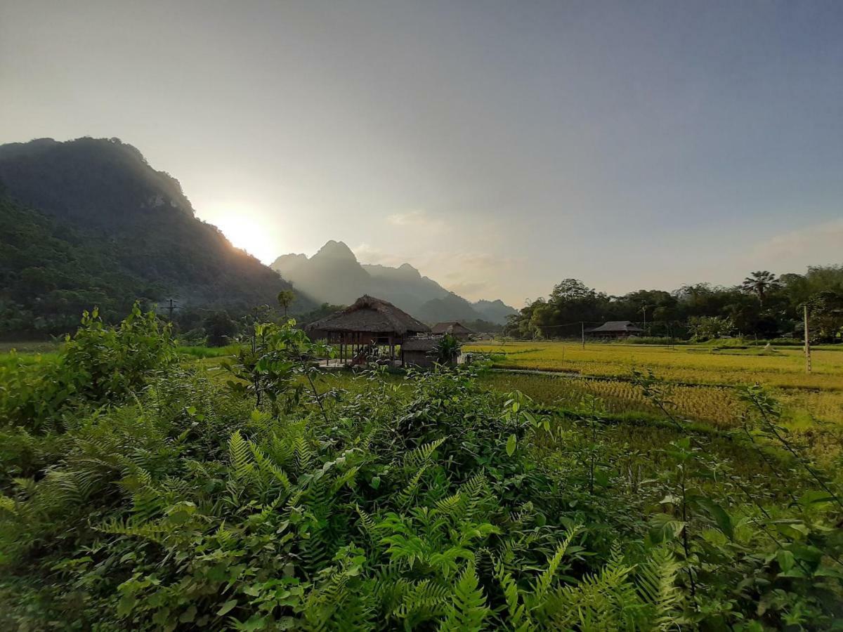 Xoi Farmstay - Eco Homestay Luc Yen Yen Bai Kültér fotó